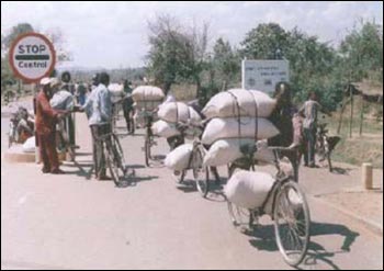 Informal Cross Border Food Trade in Southern Africa